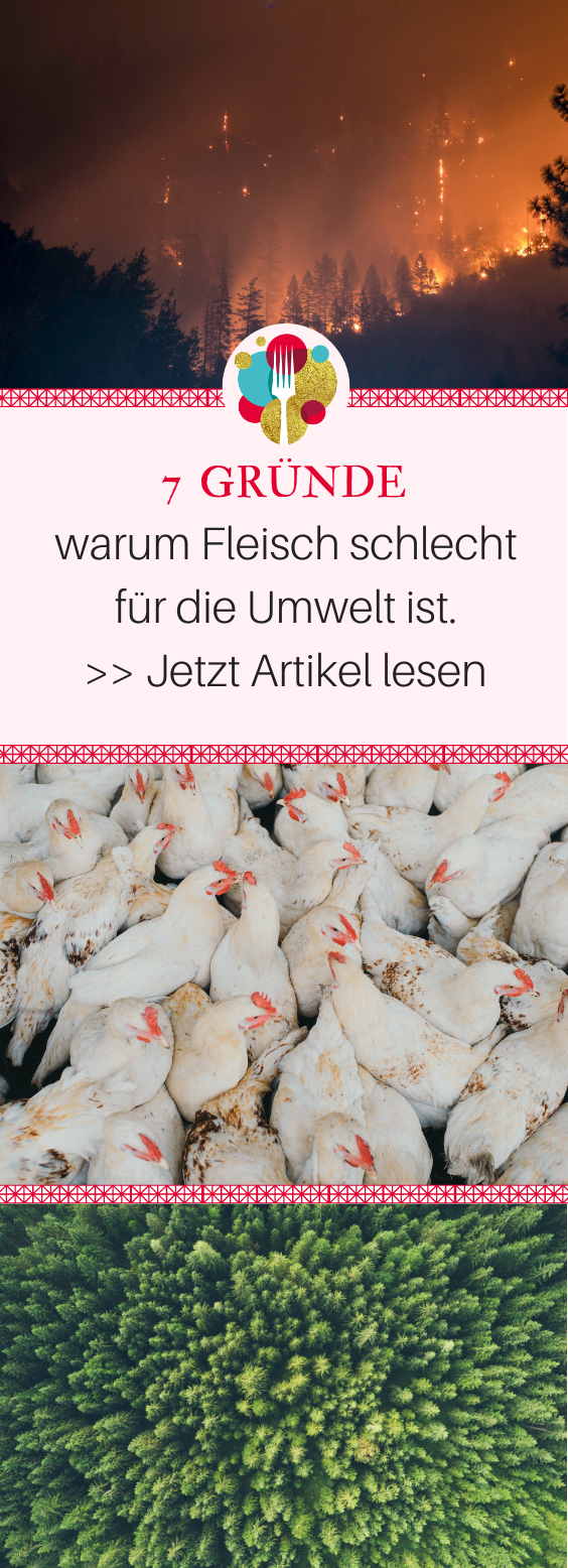 7 Gründe, warum Fleisch schlecht für die Umwelt ist I Vegalife Rocks: www.vegaliferocks.de✨ I Fleischlos glücklich, fit & Gesund✨ I Follow me for more inspiration @vegaliferocks gruende warum fleisch schlecht ist